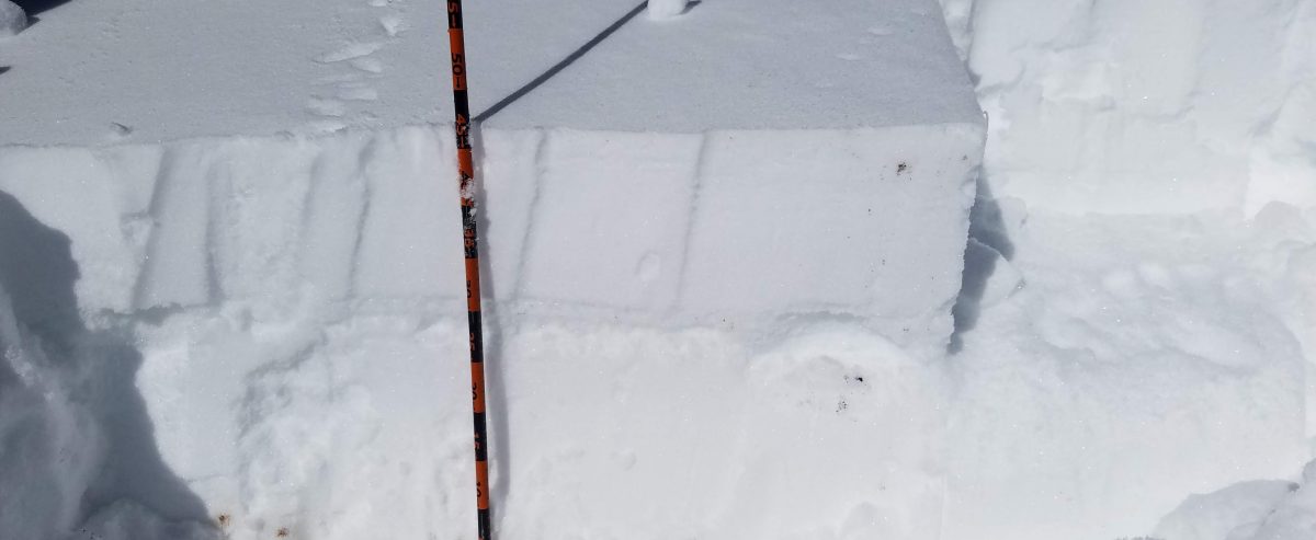 Snowpit profile: South Walton Peak. East facing slope, 10,500ft